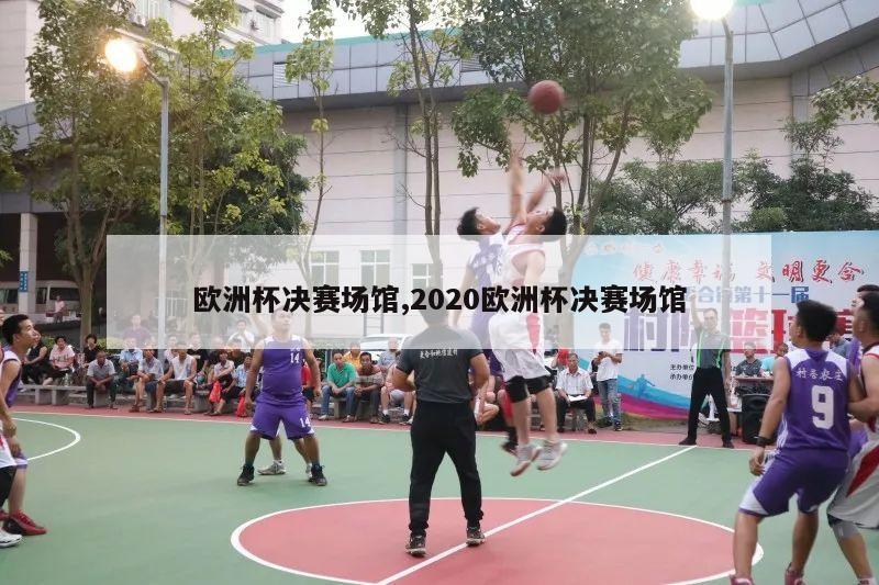 欧洲杯决赛场馆,2020欧洲杯决赛场馆